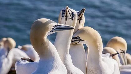 AYX官网-体育新闻中心推动基层体育数字内容生态建设，体育产业数字化